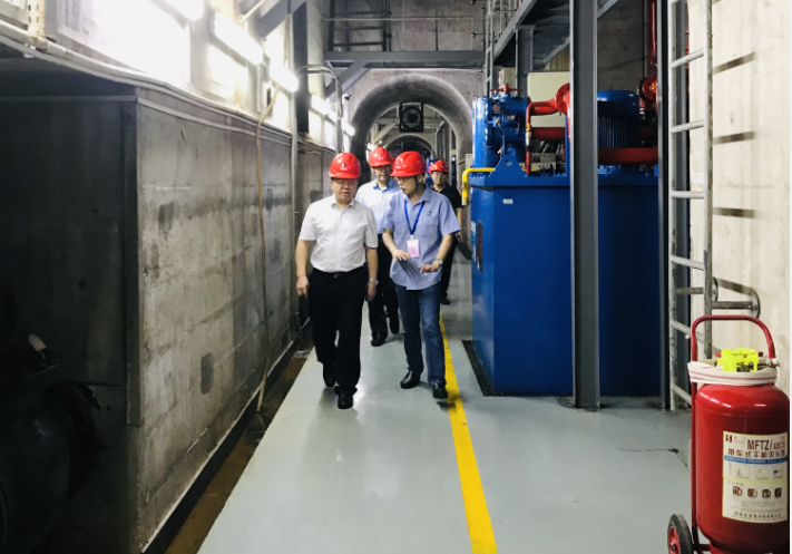 省国资委巡视员卢光祖带队督查株洲航电分米兰官方站网页版在线登入安全生产和防洪防汛工作