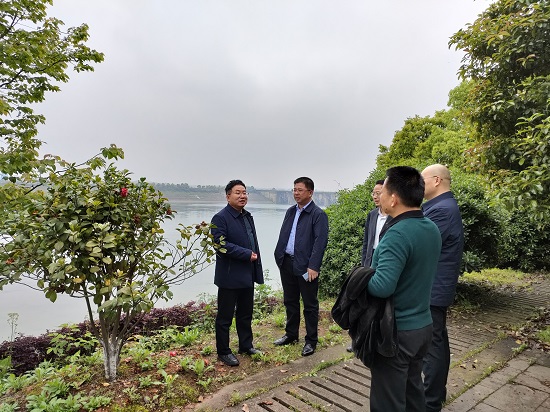 省国资委安稳处督查株洲航电分米兰官方站网页版在线登入安全生产和防洪防汛工作