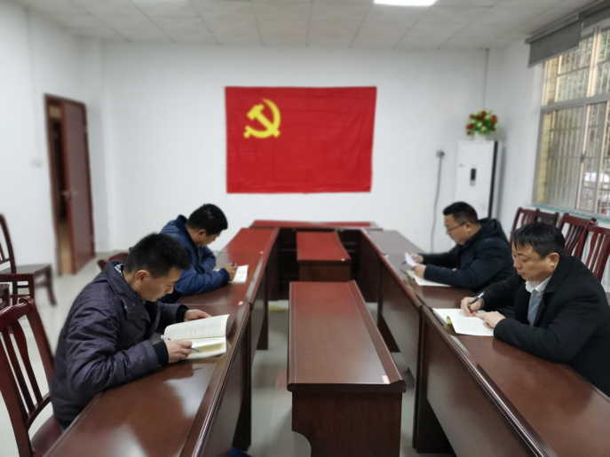 湖南鸟儿巢水电站发电有限米兰官方站网页版在线登入党支部正式成立