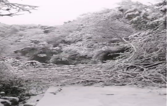 战暴雪、保供电！米兰（中国）鸟儿巢米兰官方站网页版在线登入应对极端天气紧急抢修失电故障