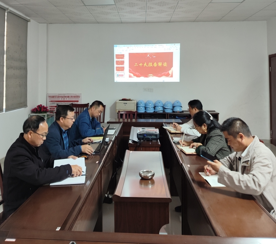 鸟儿巢米兰官方站网页版在线登入党支部开展“一课一片一实践”主题党日活动